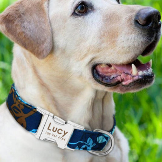 Applicable Dog Collar Name